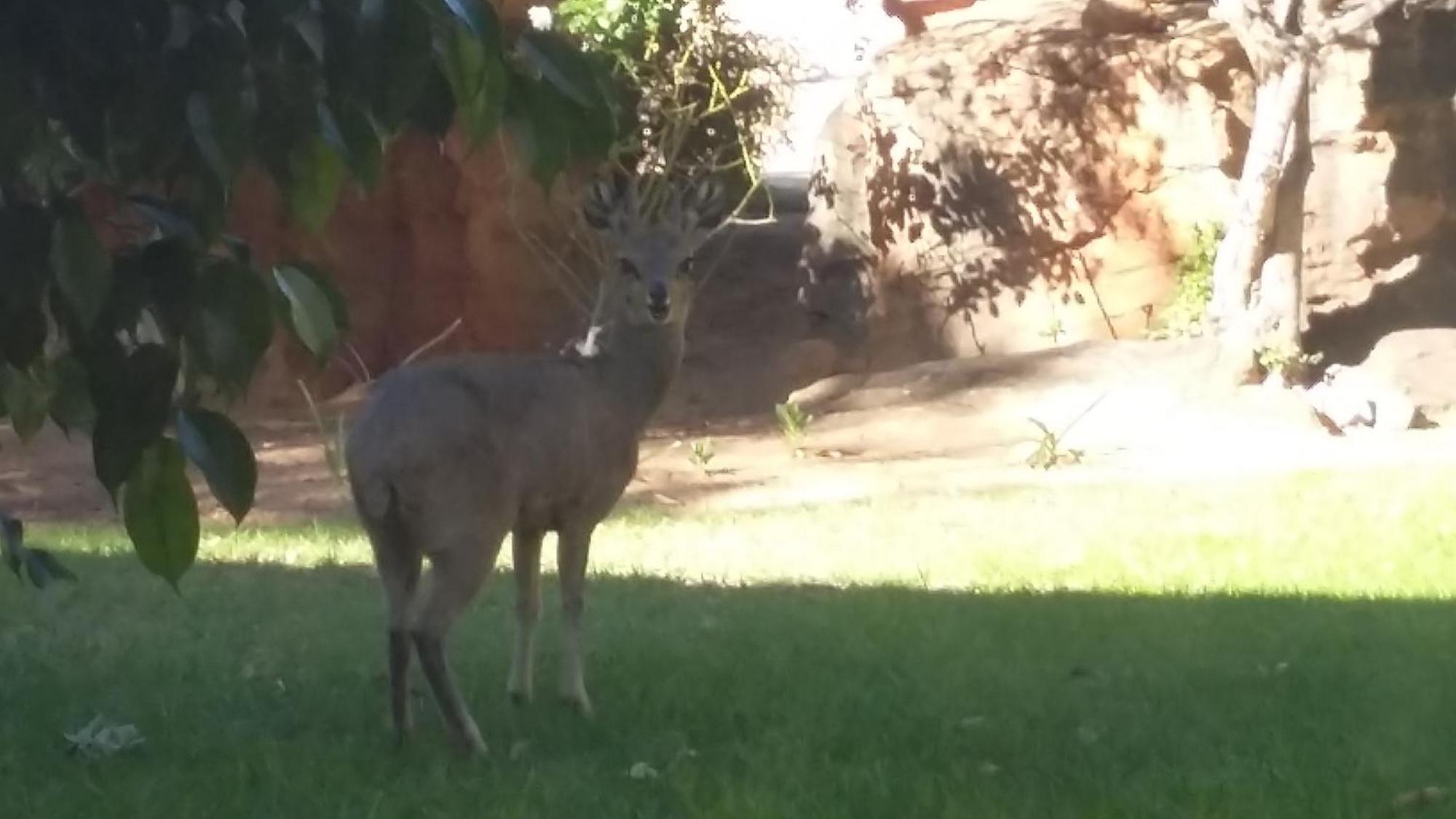 Kleinfontein Villa Clanwilliam Luaran gambar