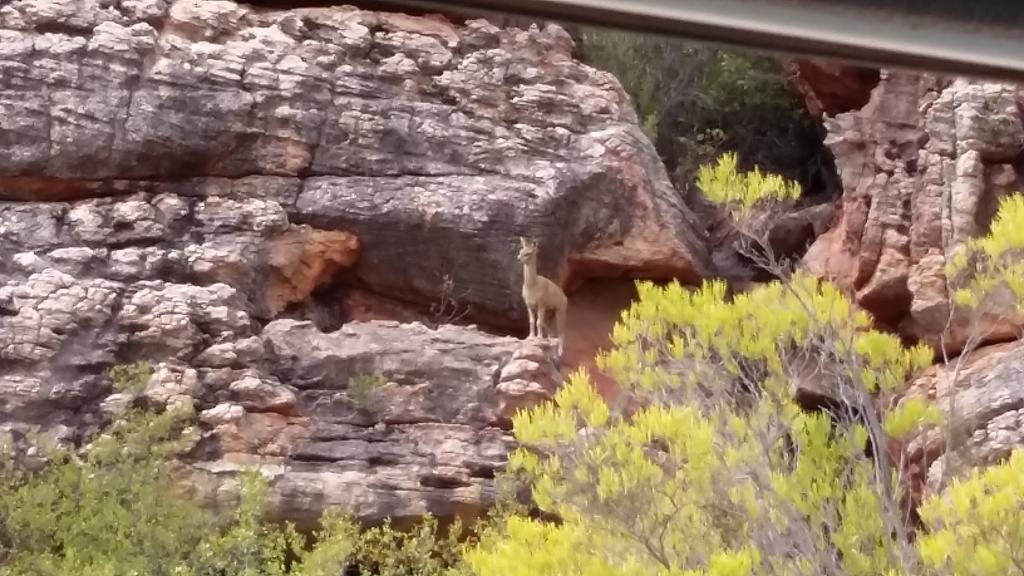 Kleinfontein Villa Clanwilliam Luaran gambar