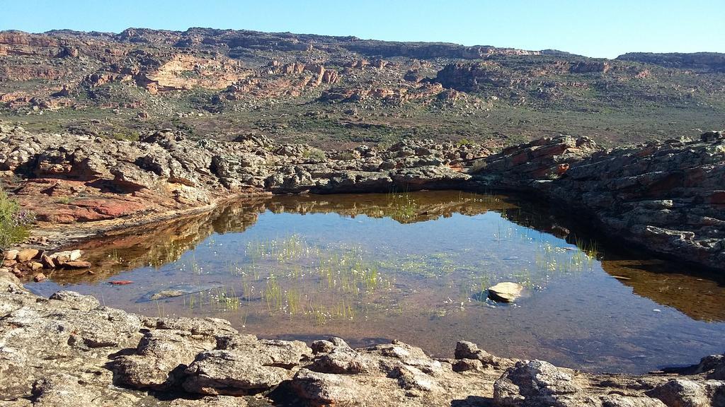 Kleinfontein Villa Clanwilliam Luaran gambar